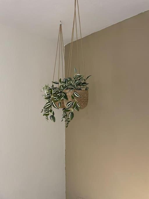 Almond Home Livadia  Esterno foto